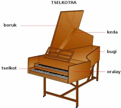 tselkotra (clavecin)