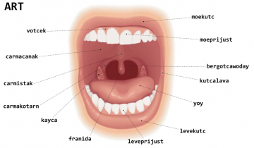 art (bouche) art (bouche)