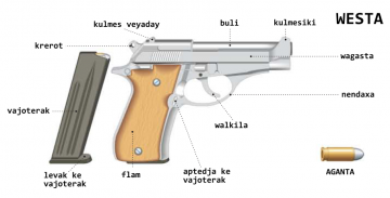 aganta( cartouche ) aganta( cartouche )